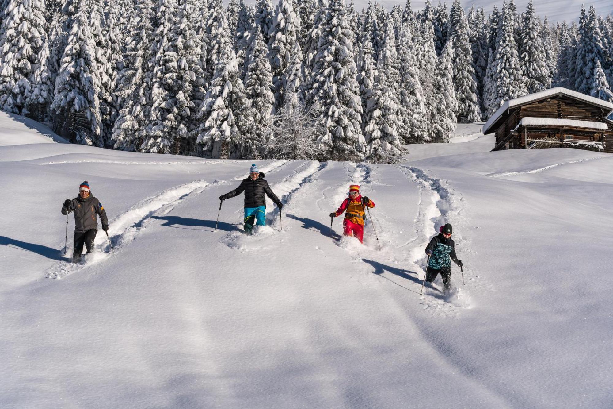Natur- & Wanderhotel Tuxertal ภายนอก รูปภาพ